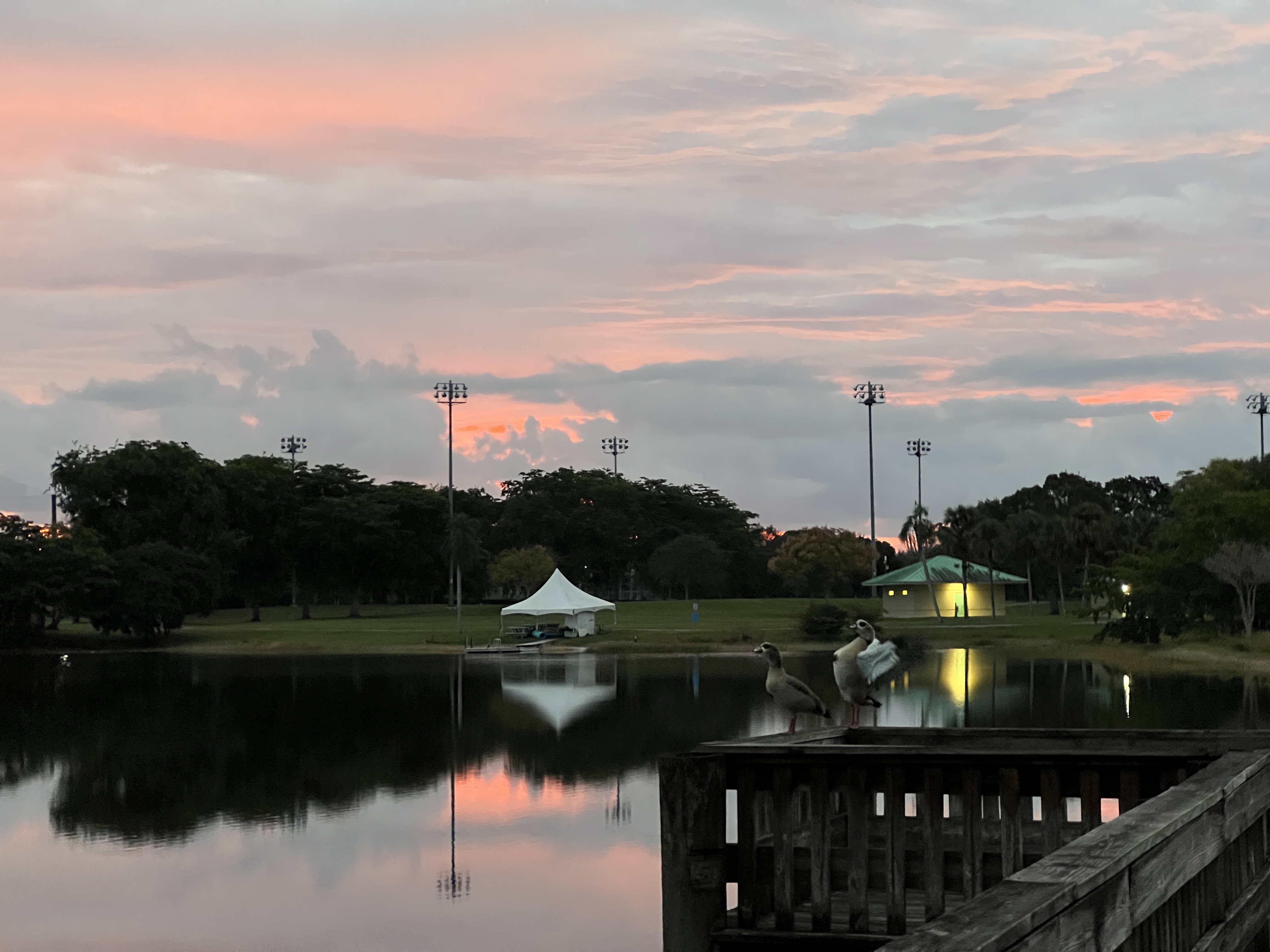./2025/12 - Pembroke Pines Wedding/IMG_7632.JPG